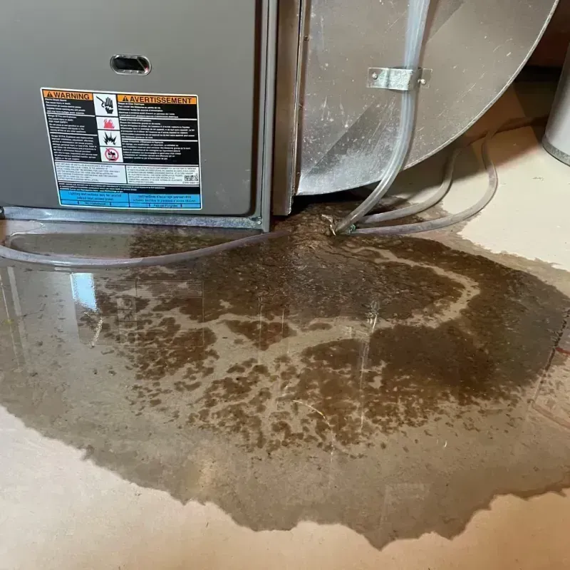 Appliance Leak Cleanup in Mackinaw, IL